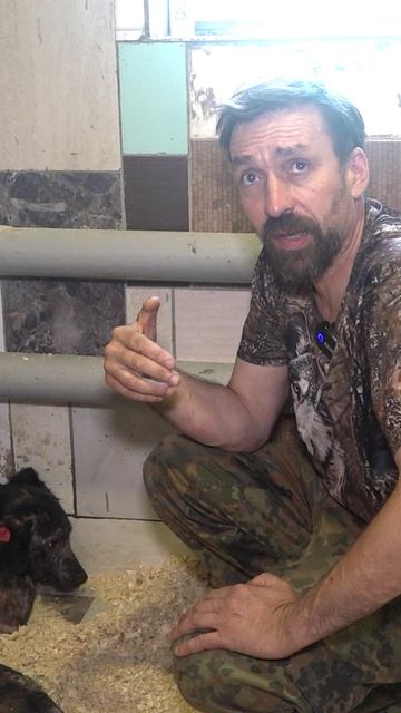 Малышка нуждается в помощи: история спинальной собаки