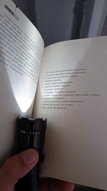 Так звучат голоса из подвала #самаястрашнаякнига #мистика #книги #буктюб #букток #любимаякнига смотреть онлайн