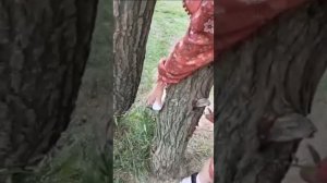 4 сезон 2 серия.По мативам Энн.(продолжение).Начало вы найдёте на《ОККО》