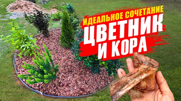 КОРА И ЦВЕТНИК