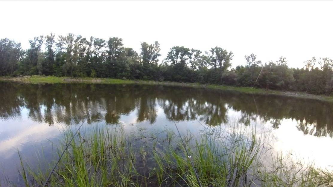 Оз.Зимснаряд рыбалка на маховую удочку ловля карася и не только смотреть онлайн