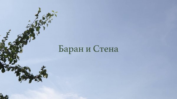 Худ. фильм - "Баран и Стена" (2023)
