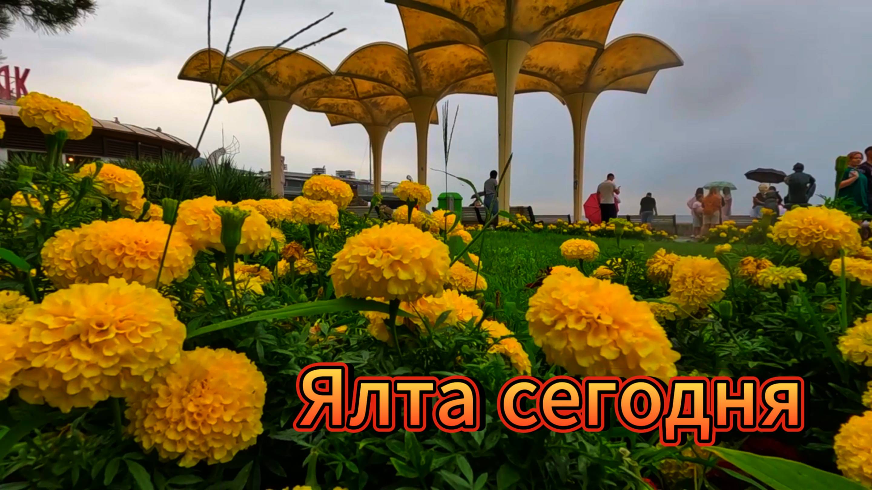 Прогулка под дождем.Приморский , массандровский пляж.Храм на холме.Уличные собаки.Ялта август смотреть онлайн