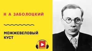 Н А Заболоцкий Можжевеловый куст Учить стих