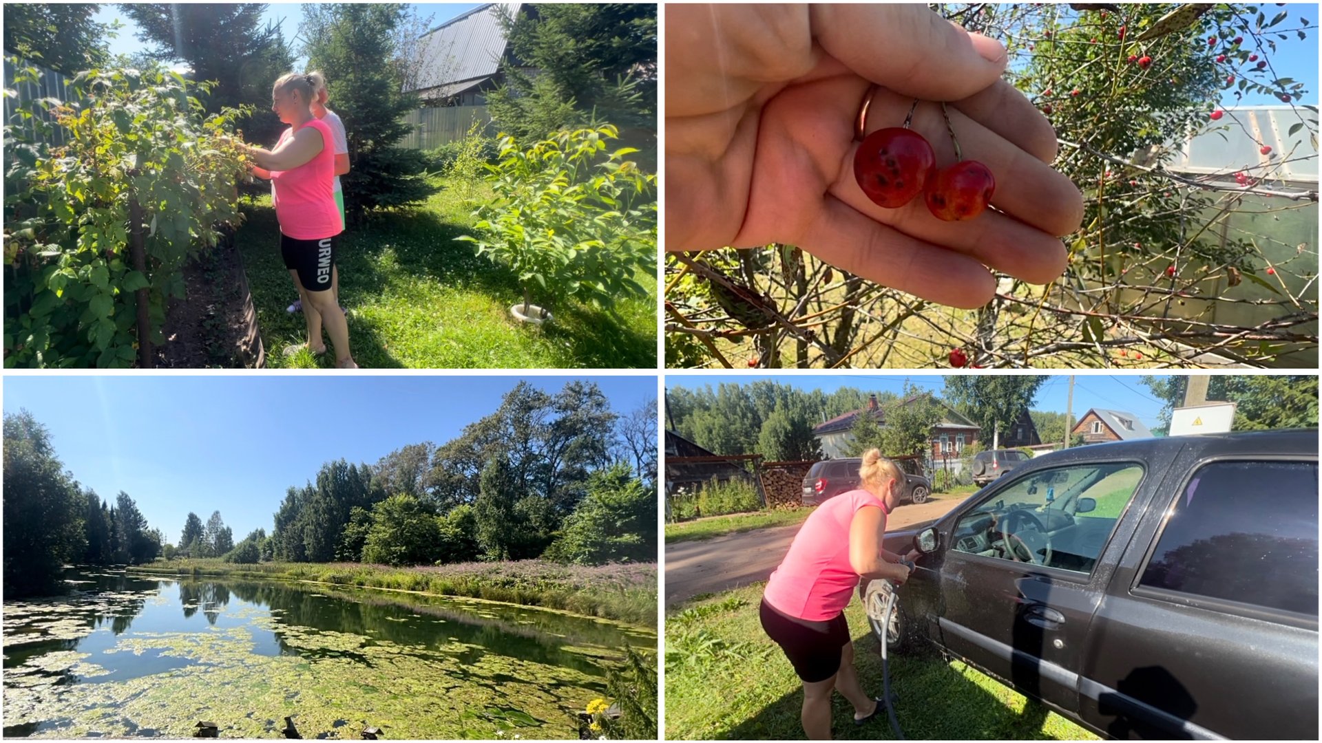 27 июля. На даче. Сбор ягод. Прогулка до прудика. Помыла машину. смотреть онлайн