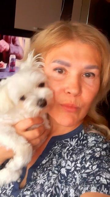 Всегда домой