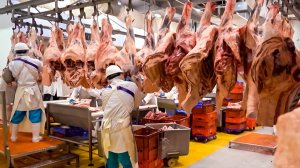 Казахстан увеличивает экспорт мяса: республика планирует выйти на 50 тысяч тонн в год