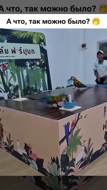 А что так можно было