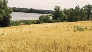 8 ЧАСТЬ НАРЕЗОК КРАСИВОЙ ДИКОЙ ПРИРОДЫ РОССИИ