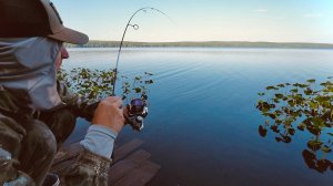 КОГДА РЕШАЕТ КАЖДАЯ РЫБА. СПИННИНГ С БЕРЕГА ЧЕМПИОНАТ
