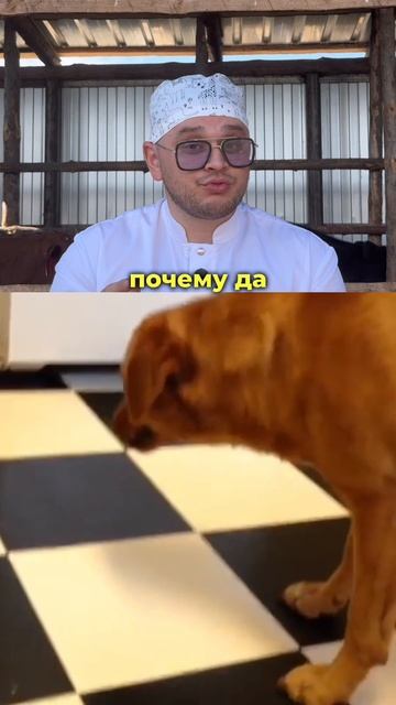 Продолжаю отвечать на ваши вопросы