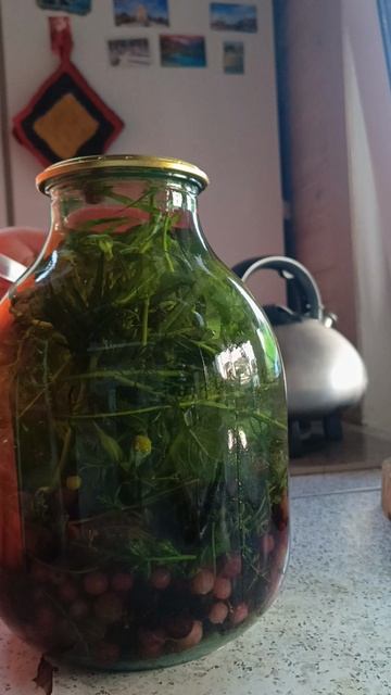 Делаем компотики на зиму