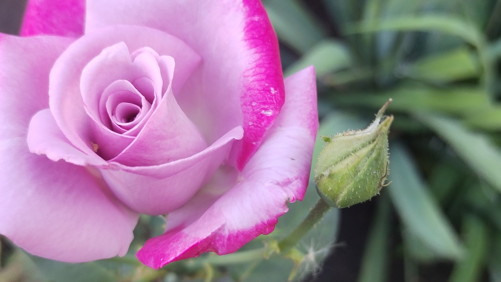 Будет или не Будет 🤔 Вот Это Да😍🥰💥 смотреть онлайн