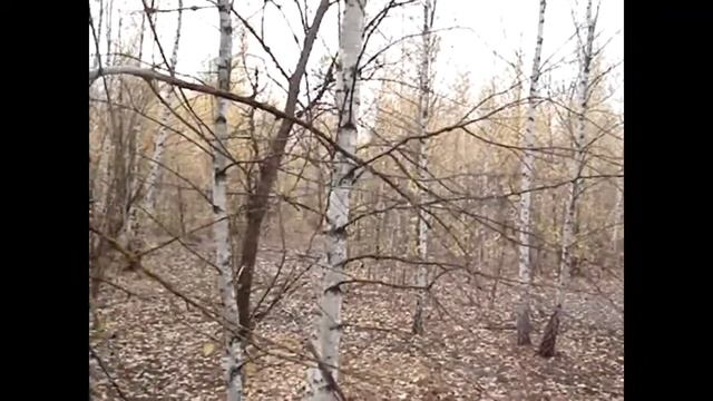 Дождь & город смотреть онлайн