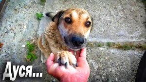 В гостях у Дуси / Питы улетели в окно ! / Состоянии Дуси спустя пару дней после страшного диагноза.