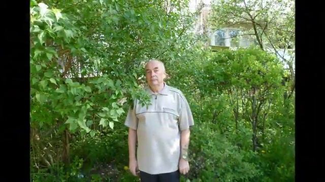 Покидая прекрасный возраст - Автор Михаил Павлов музыка и поёт Андрей Куряев смотреть онлайн