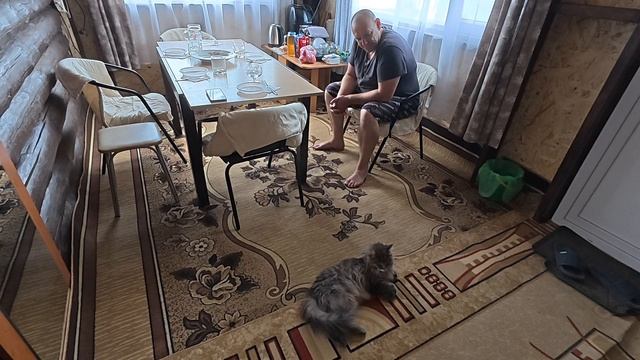 Сегодня отдыхаем. Ждём гостей. смотреть онлайн