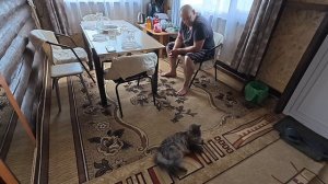 Сегодня отдыхаем. Ждём гостей.