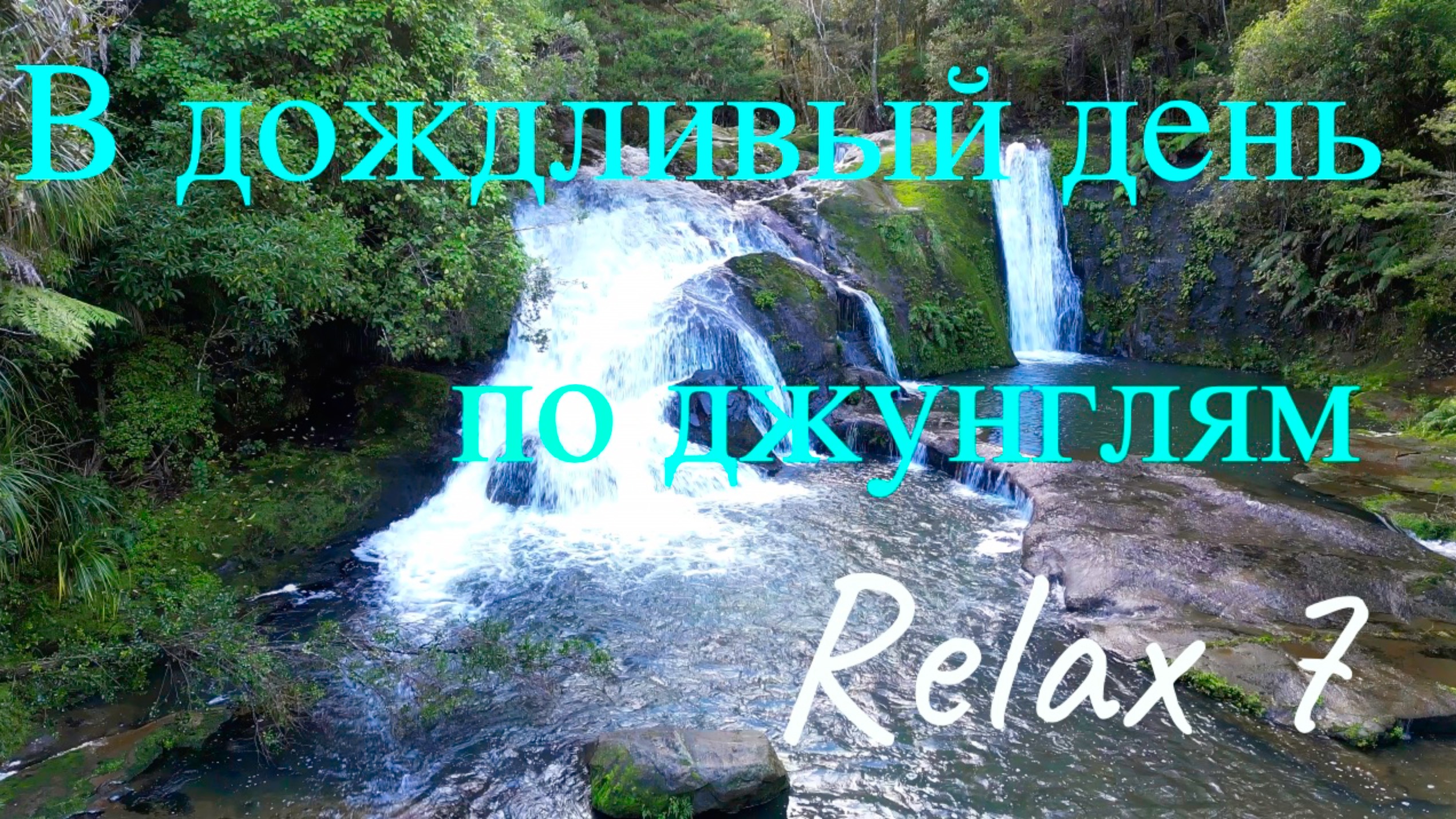 A Rainy Day In Auckland's Rainforest  Waterfalls & Nature Sounds | Upper Nihotupu Dam In 4K