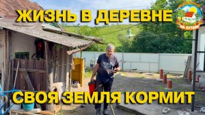 🟢СОБРАЛИ первый урожай овощей! ПОПОЛНЕНИЕ в хозяйстве! Крутим гипсокартон на потолок.