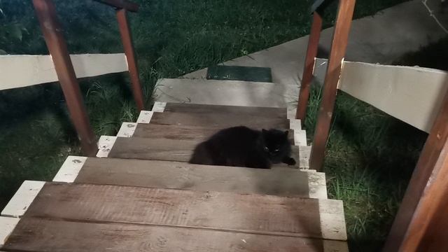 СОЧИ ГОРНОЕ ЛОО УТРО 02.08.2025 смотреть онлайн