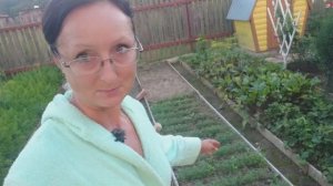 Видео привет с 6 соток 30 июля 2025 года.