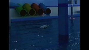 Backrooms 4 - Aquatic cycles