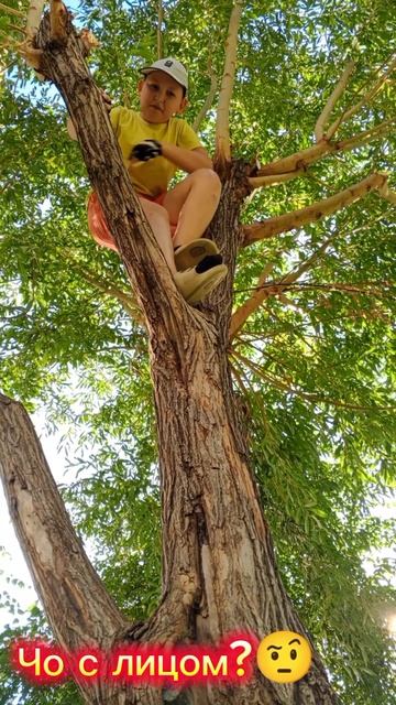 Паркур-паркур!#shorts#паркур#костя