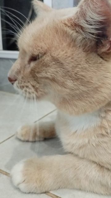 VID_20250802_154405.mp4 смотреть онлайн