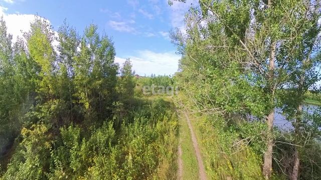 9115726 смотреть онлайн