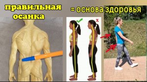 Сутулая спина и шея деградируют из-за неправильных движений лопаток и таза. Методы коррекции