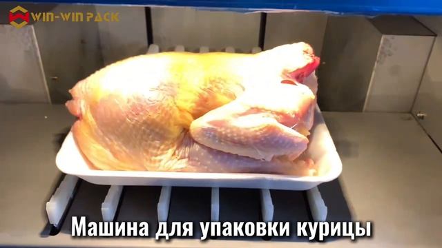 WIN-WIN PACK — эффективная упаковочная машина для продуктов питания
