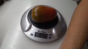 Смотрим что за зверь «Фламенко пурпурный». Подмосковье это тропики 🤣🤣🤣