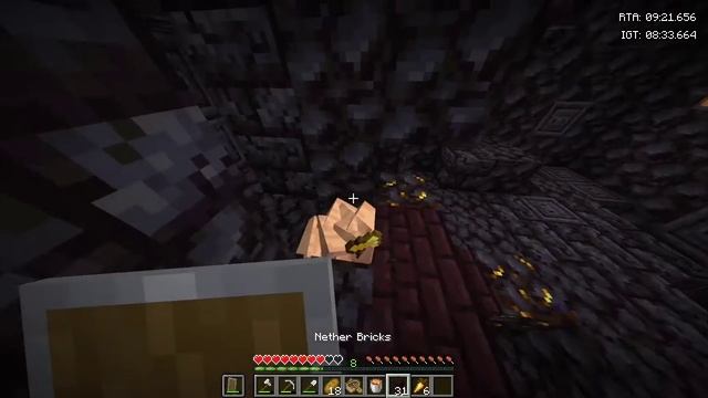 Мироврй рекорд по спидрану (1.21)