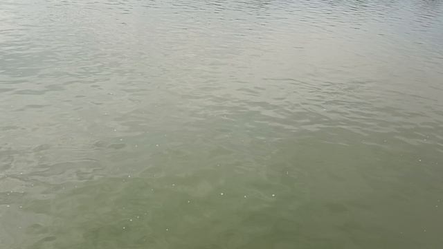 Новый день и новые приключения. ❤