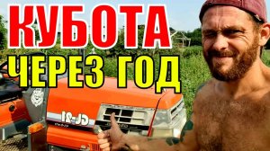 Год эксплуатации старого японца. ТО Kubota-GL 21. Овощи в июле.