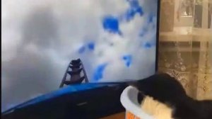 Малышу нравятся кот-тракционы)