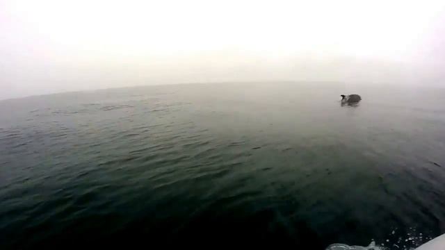 О,море море! смотреть онлайн