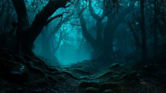 Z-.Twisted Grove.Dark Ambient.Dungeon Synth.Ambience.18 смотреть онлайн