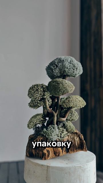 Отказались от денег ради идеи. Слишком смело?