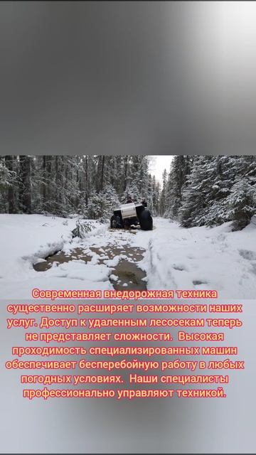 Отвод и таксация лесосек Пермский край