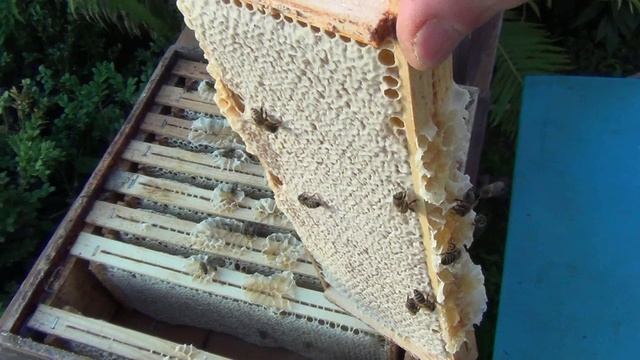 Проба на сотовый мёд. смотреть онлайн