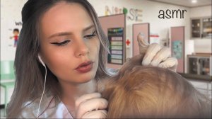 АСМР проверка на вши от школьной медсестры