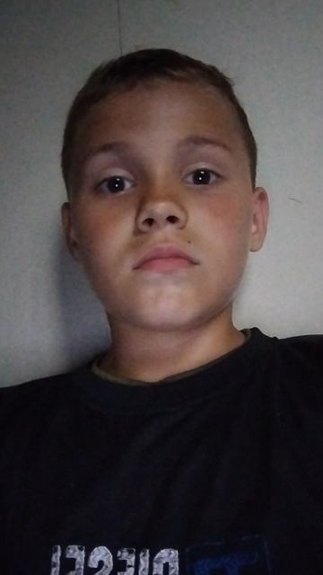 Канал лунаяя кошка смотреть онлайн