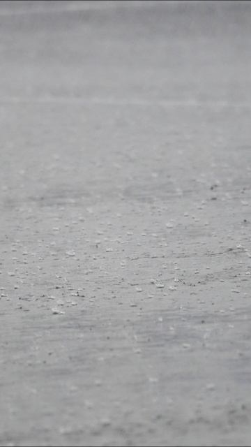 Что же ждёт нас на пятом этапе? Едем по сухому или по мокрому — ваши варианты👇🏼 смотреть онлайн