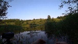 Рыбалка на карася с хорошей удочкой