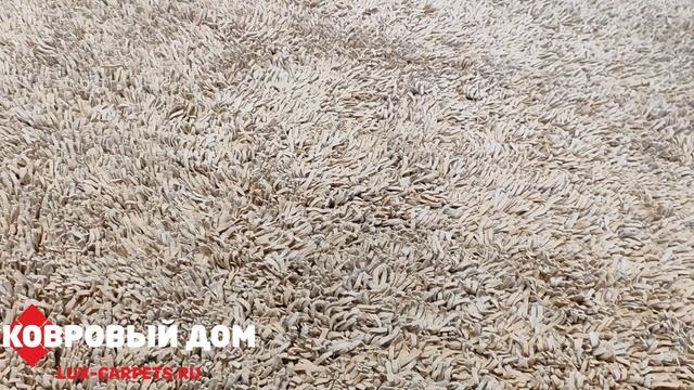 Ковер 1,70х2,40 Indien Shaggy22 оранж ручной работы #коврыкраснодар #дизайнгостиной #топ #rug смотреть онлайн