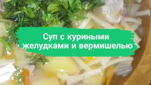 Суп с куриными желудками и вермишелью