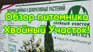 🌲Обзор питомника Хвойный Участок рабочие дни большой ассортимент хвойных растений!🌲
