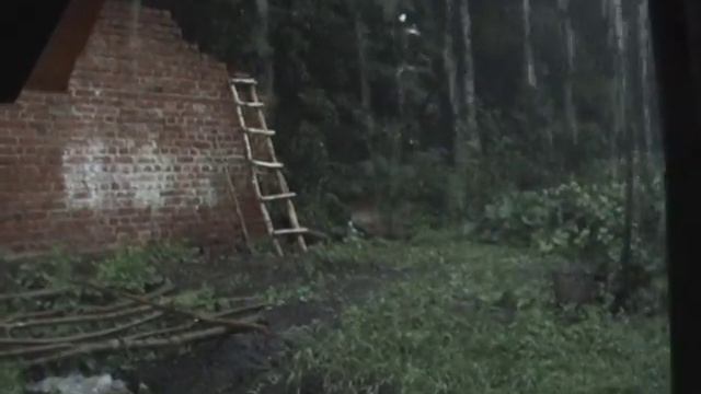 Одноглазая кошка и дождь. смотреть онлайн